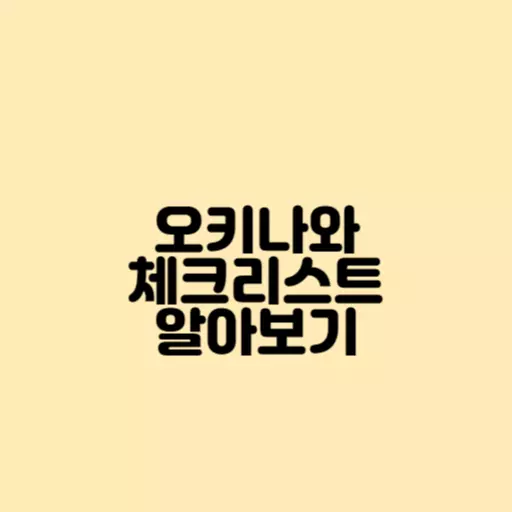 오키나와 체크리스트