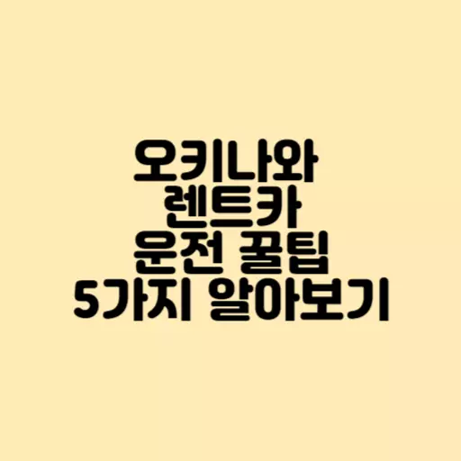 오키나와 운전꿀팁