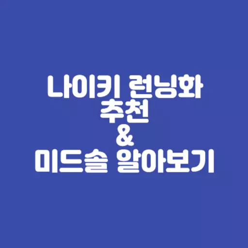 나이키 런닝화 추천