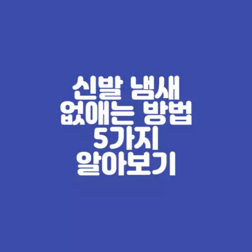 신발냄새 없애는 방법