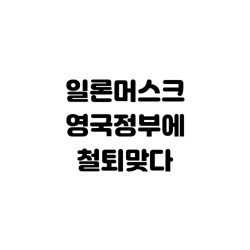 일론머스크 영국 정부